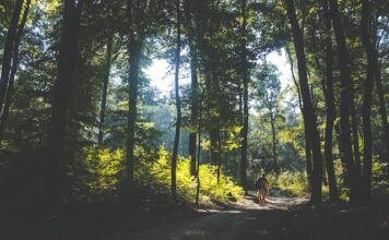 Ciekawe trasy turystyczne w Parkach Narodowych