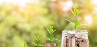 Strategie inwestycyjne i dobór portfela inwestycyjnego