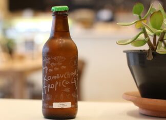 Czy kombucha jest dobra na kaca? Czy kombucha jest dobra na kaca?