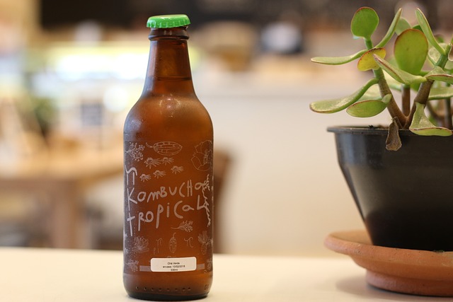 Jak pachnie kombucha? Jak pachnie kombucha?