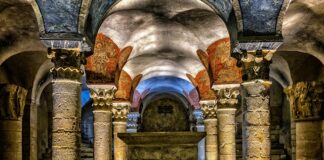 Do której komory płyn do płukania?