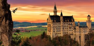 Kto produkuje płyn Ludwik?