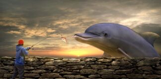 Czy żyłka się starzeje?