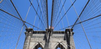 Czym różni się linka DT od WF?