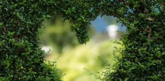 Jak zmienić kształt kierownicy?