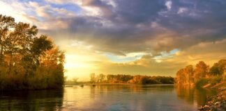 Kiedy jest sezon na Belone?