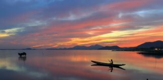 Co łowić w lipcu z plaży?