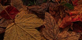 Czy grubość żyłki ma znaczenie?