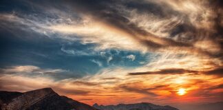 O której godzinie bierze węgorz?