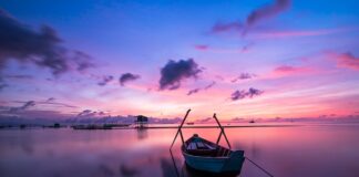 Czy kolor plecionki ma znaczenie?