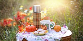 Co zrobić na piknik rodzinny?