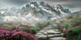 Jaki obiektyw do fotografowania gór?