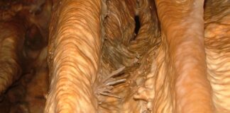 Co oznacza Hg w kołowrotkach Shimano?