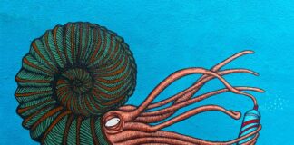 Jakie naboje do syfonu?