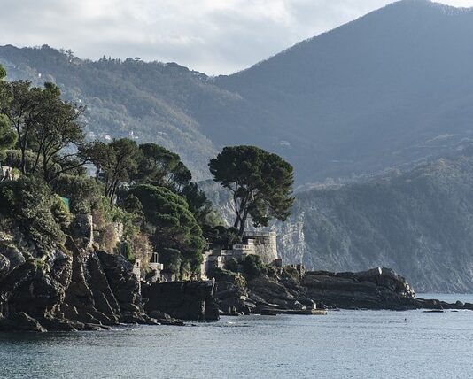 Ile kosztuje 100 naklejek?