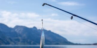 Jak zrobić przynęty podlodowe?