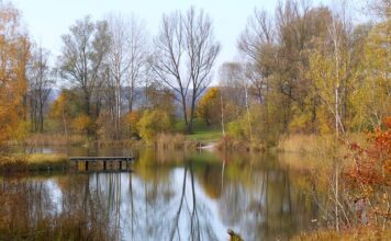 Czym nęcić na okonia? Czym nęcić na okonia?