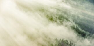 Jaki kąt nachylenia mostka?