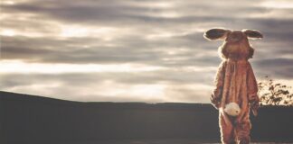 Ile kosztuje indywidualny trening MMA?