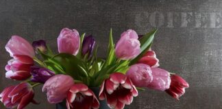 Jak zamontować sprężyny do moskitiery?