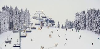 Jakie mięsnie pracują przy snowboardzie?