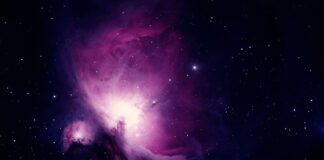 Ile kosztuje nauka sztuk walki?