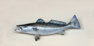 Kiedy na troć z plaży?