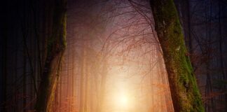 Jak zrobić cień na plaży?