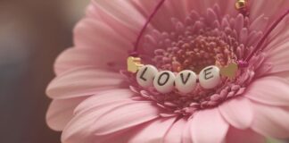 Jaki multitool Gerber?