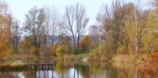 Co lepsze na okonia żyłką czy plecionka?