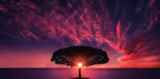 Jaka wędka na morskie trocie?