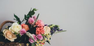 Co do koszyka na piknik?