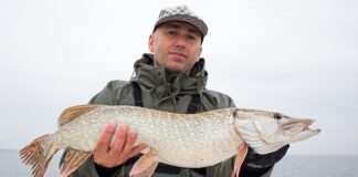 Czy sandacz widzi plecionkę?